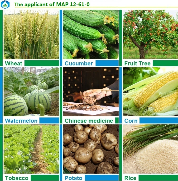 Monoammonium Map Fertilizer 12-61-0 Price Mono Ammonium Phosphate Nh4h2po4